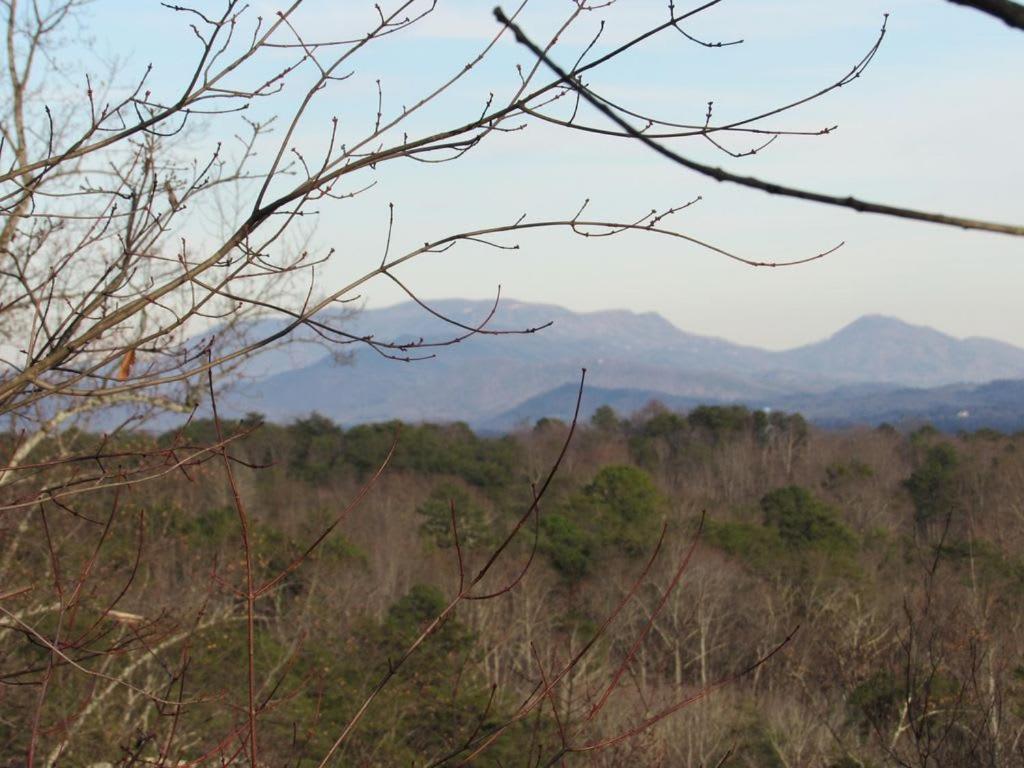 View! Cozy, Private, Fireplace, Hot Tub Log Cabin, Honeymoon! Sevierville Extérieur photo