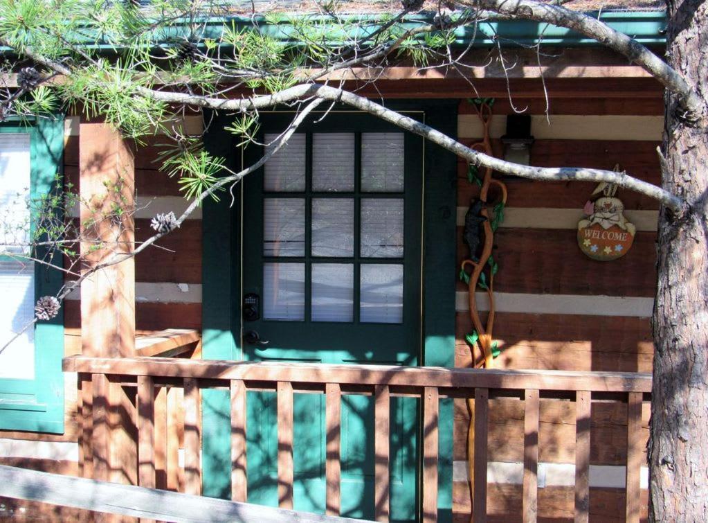 View! Cozy, Private, Fireplace, Hot Tub Log Cabin, Honeymoon! Sevierville Extérieur photo